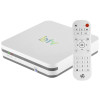 Receptor BTV 11