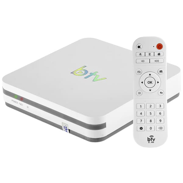 Receptor BTV 11
